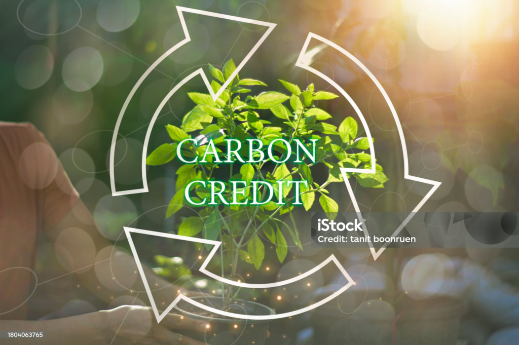 탄소 중립 정책